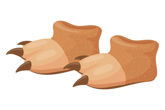 Bear Foot Slippers Graphic for Creative Projects